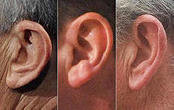 10 mielenkiintoista faktaa korvista