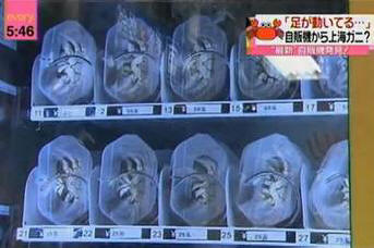 10 erikoista asiaa, joita voit ostaa Kiinassa