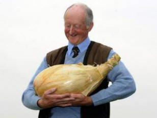 15 omituisin ja hauskin Guinnessin maailmanennätys