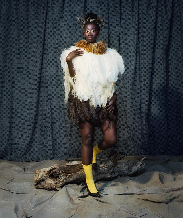 DylanDavis06 Afrikan prinsessat