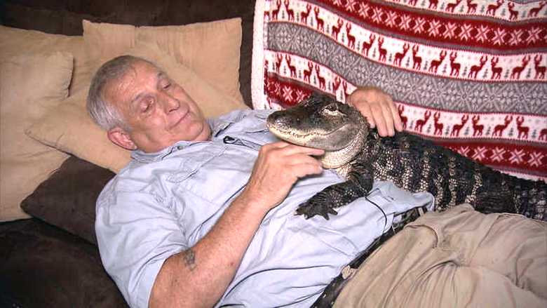 Alligaattori - masennuslääke