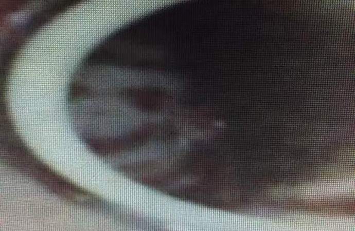 American on jakanut valokuvia ja videoita aaveista