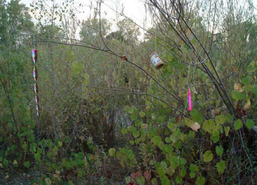 Amerikkalainen taistelee yetille alueen puolesta