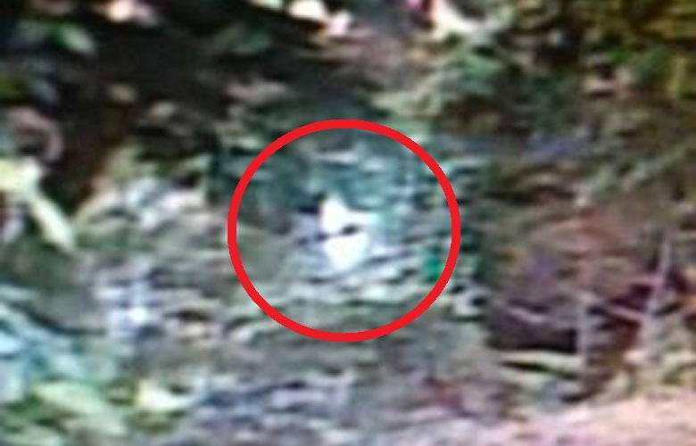 Amerikkalainen väittää kuvanneensa ulkomaalaisen