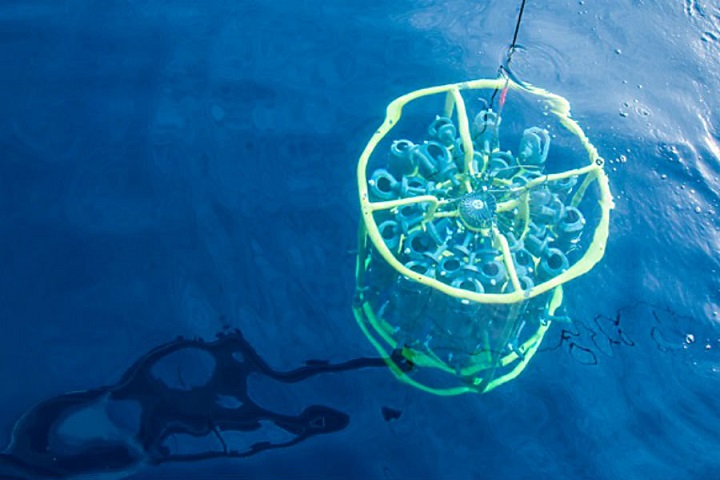 Yhdysvaltain armeija kokeilee taas bakteereja