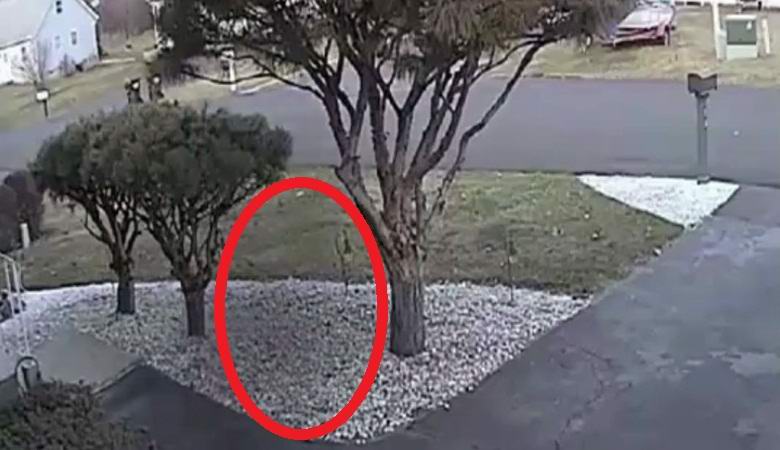 Amerikkalaiset toimittajat näyttivät aaveen