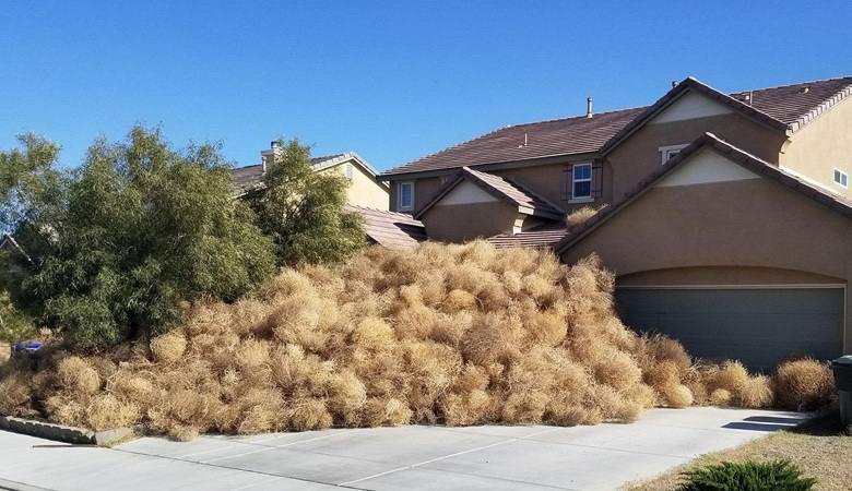 Amerikkalainen kaupunki massiivisesti