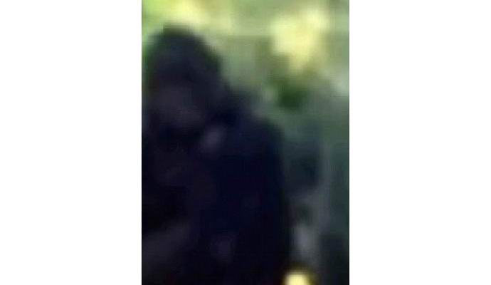 Amerikkalainen poliisi valokuvasi yetiä