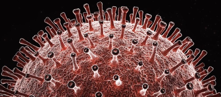 Genomianalyysi paljastaa, että koronavirus voi olla kahden eri viruksen kimeeri 