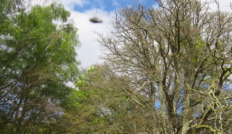 Englantilainen kuvaa selvästi