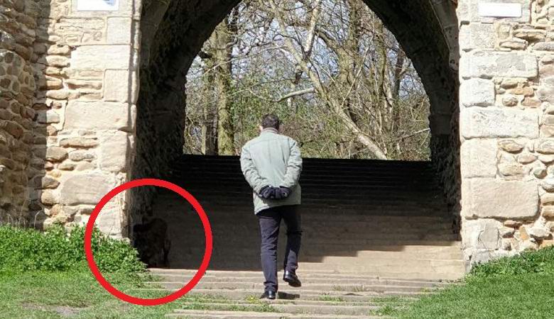 Englantilainen nainen vangitsi käsittämättömän olennon puistossa