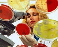 Antibiootit hidastavat ikääntymisprosessia