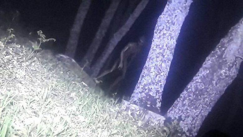 Argentiinan poliisi valloitti ulkomaalaisen