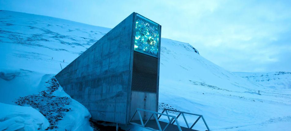 Arctic Seed Holvi vastaanottaa 60000 siementä 