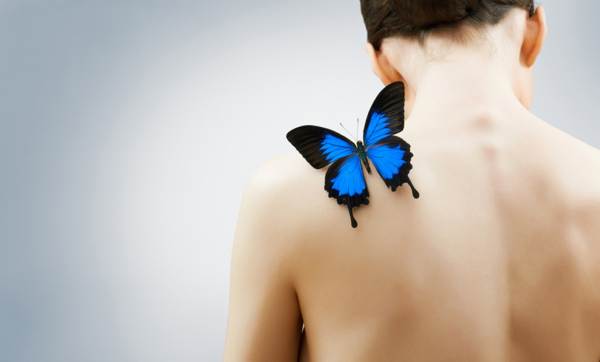 perhonen istui olalla 