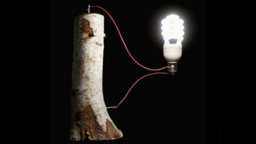 Paristot voivat olla puisia