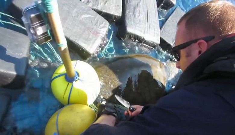 Yhdysvaltain rannikkovartiosto pyysi kilpikonnan 800 kg kokaiinilla