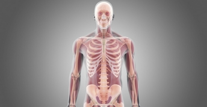 Ihmisen kuolemattomuus - ehkä lähitulevaisuudessa