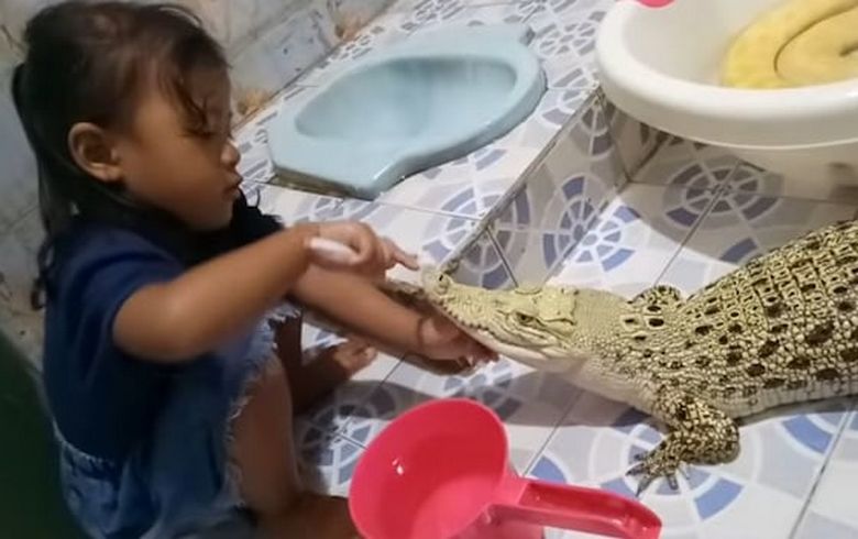 Peloton tyttö puhdistaa krokotiilin hampaitaan