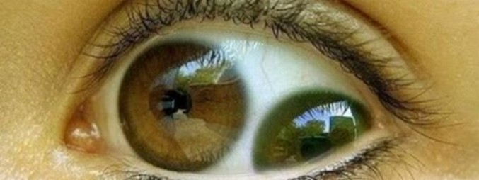 Onko kaksinkertainen oppilas?