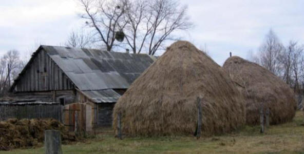 Tiivis yhteys muukalaiseen Pinskin alueella