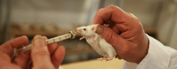 Kipu voidaan estää valolla.