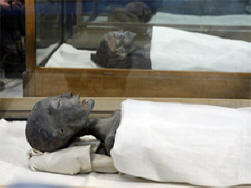 Brittiläiset tutkijat: Tutankhamun kuoli onnettomuudessa