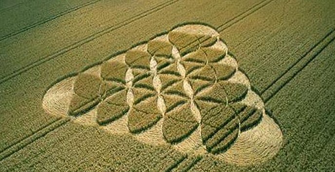 Ison-Britannian viranomaiset panivat piireille piirejä kutsuakseen niitä väärennöksiksi