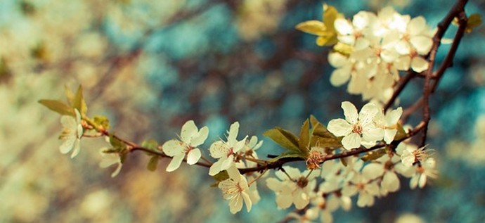 Mitä naiset haluavat 8. maaliskuuta ... ja miehet?