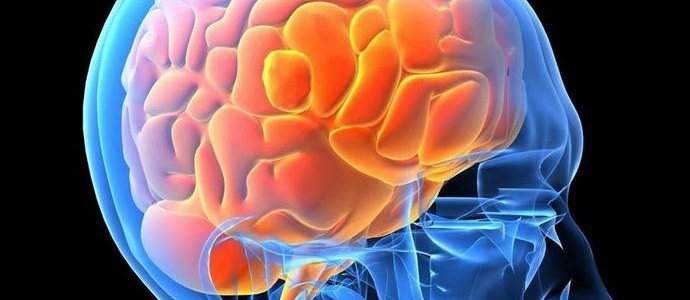 Ihmisen aivot muistavat sanat kuvina