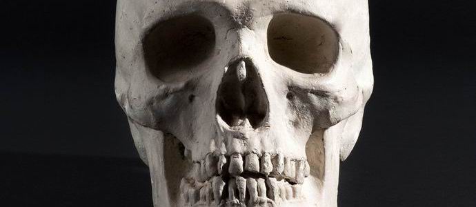 Kallo siirrettiin ensimmäistä kertaa miehelle