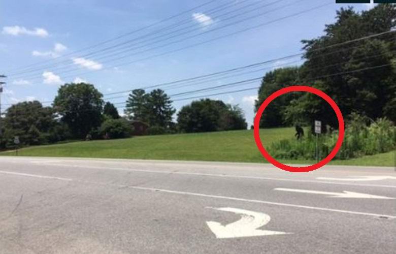 Musta Yeti tulee ulos metsästä