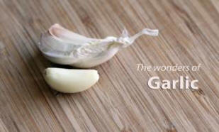 Valkosipuli tappaa aivosyövän solut ilman sivuvaikutuksia.