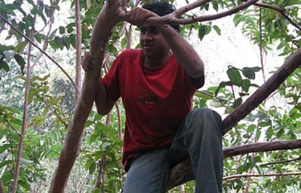 Nelijalkainen aviomies ja vaimo-puu