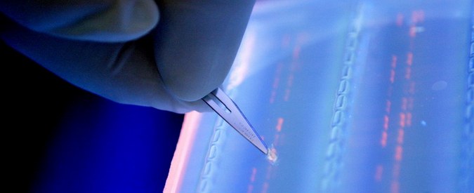 Mikä korvaa kiintolevyn ja flash-muistin