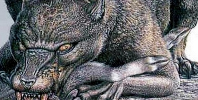 Chupacabra ilmestyi Saratovin alueelle