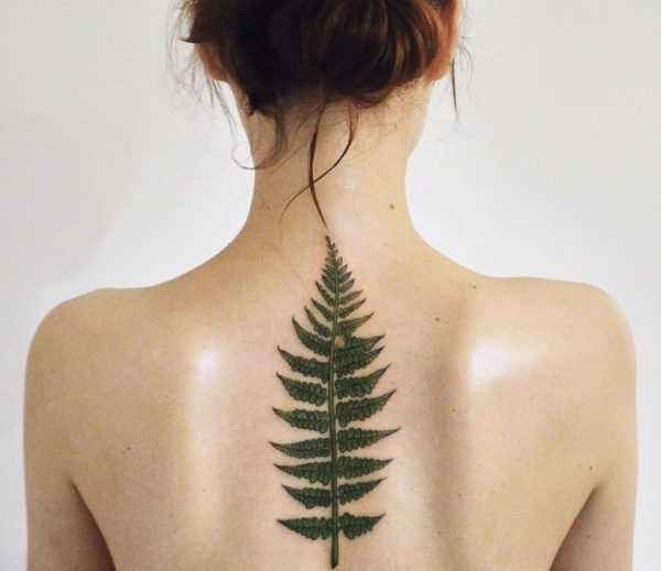 Saniainen tatuointi  
