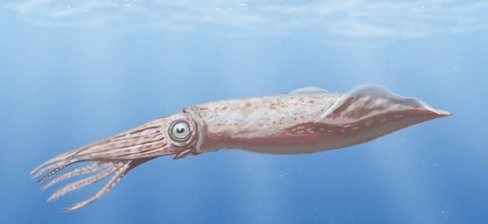 Sukeltajat ovat löytäneet jotain outoa.