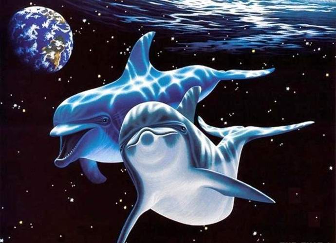 Ovatko delfiinit ulkomaalaisia?