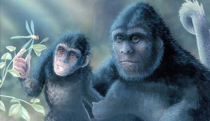 Isojalkainen vauva sai videon