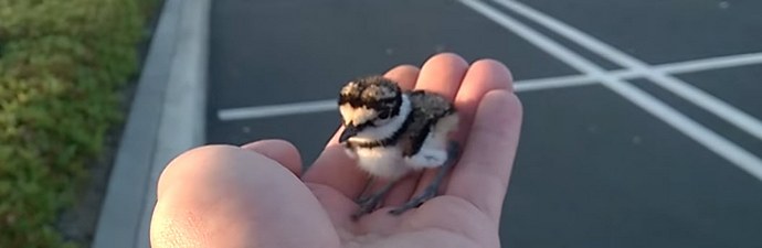 Ystävällisyys pelastaa maailman