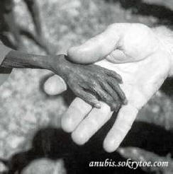 Luotettavat yhteydet ulkomaalaisiin