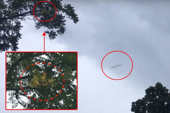 Tupla onni: UFO ja Bigfoot samanaikaisesti