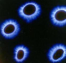 Energiakokonaisuudet