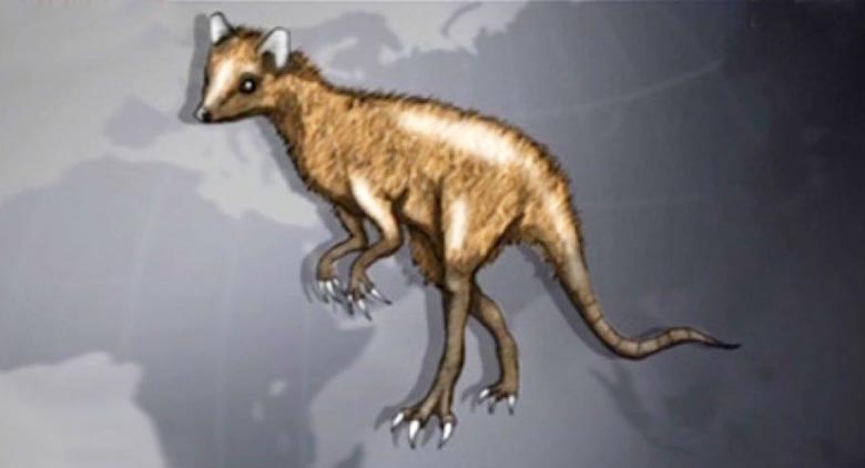 Toinen katsaus salaperäiseen chupacabraan