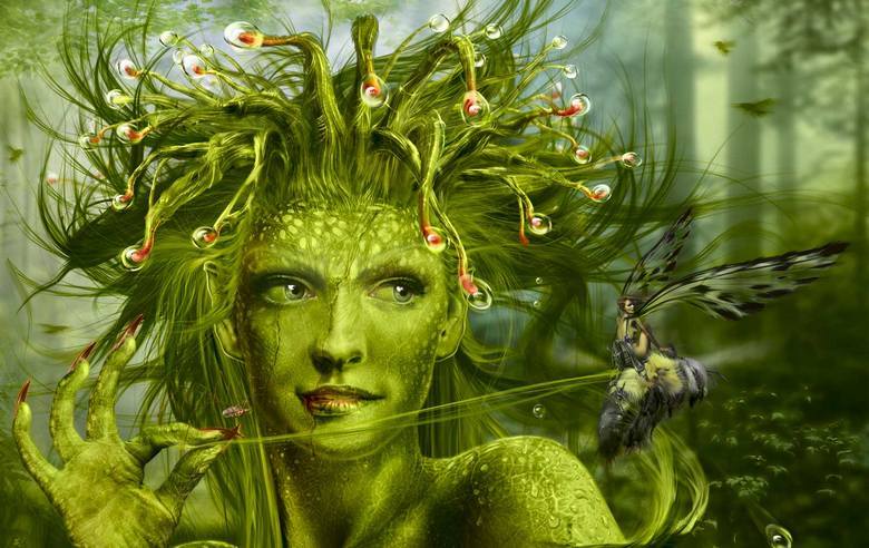 Toinen tieteellinen näyttö siitä, että kasvit ovat tietoisia.