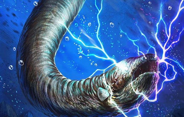 Nämä uskomattomat ankeriaat.