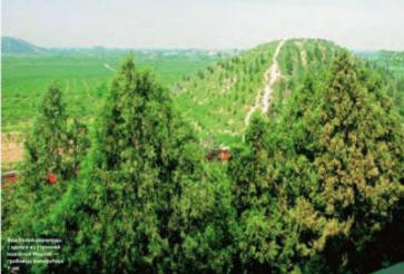 Vääriä ja aitoja Kiinan arvoituksia