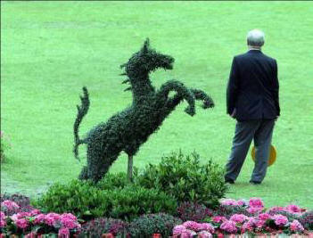 Feng Shui -ennuste vuodelle 2014 vihreä hevonen