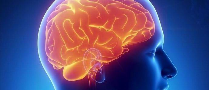 Ranskalainen elää melkein aivojen puoli vuosisataa